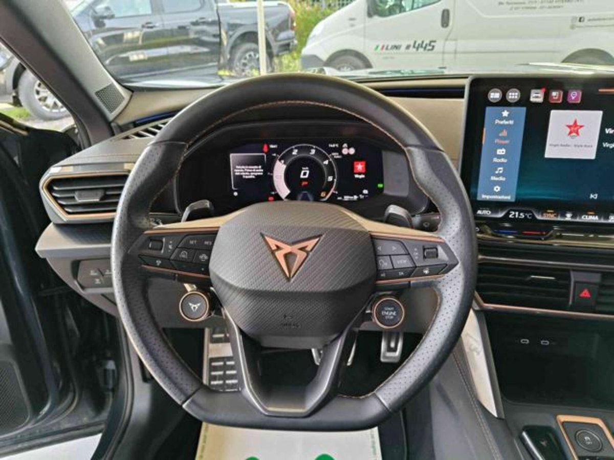 Cupra Formentor Formentor 2.0 TDI (11)