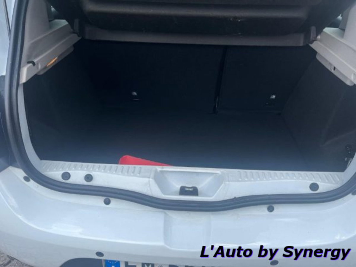 Dacia Sandero Stepway 0.9 TCe 12V 90CV Start&Stop aut. (9)