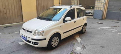 Fiat Panda 1.2 Dynamic (10)