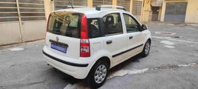 Fiat Panda 1.2 Dynamic (4)