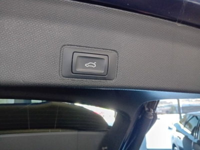 Cupra Terramar 1.5 hybrid 150cv dsg (11)