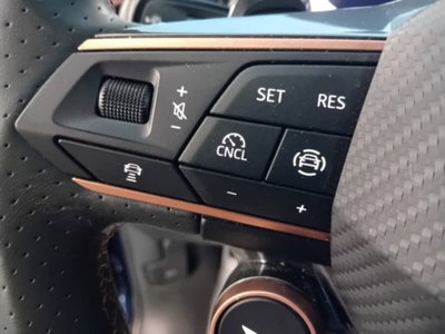 Cupra Terramar 1.5 hybrid 150cv dsg (15)