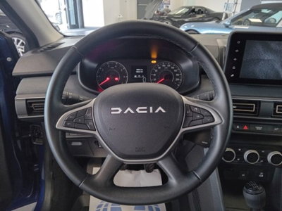 Dacia Sandero Stepway 1.0 tce Extreme Eco-g 100cv (15)
