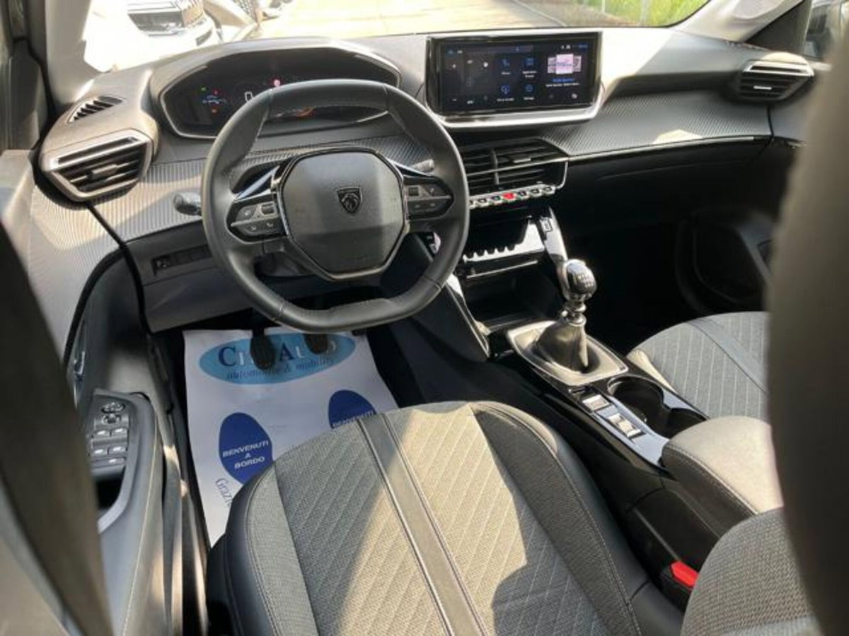 Peugeot 208 PureTech 100 Stop&Start 5 porte Allure (13)