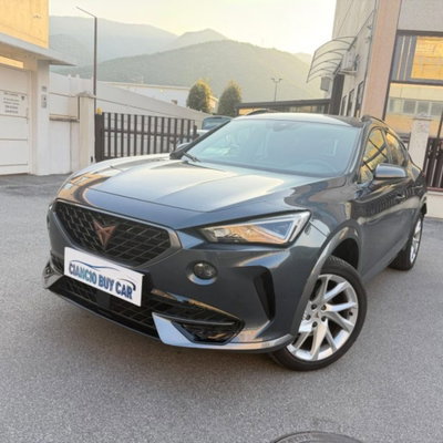 Cupra Formentor Formentor 1.5 TSI usata