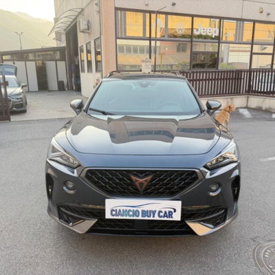 Cupra Formentor Formentor 1.5 TSI (5)