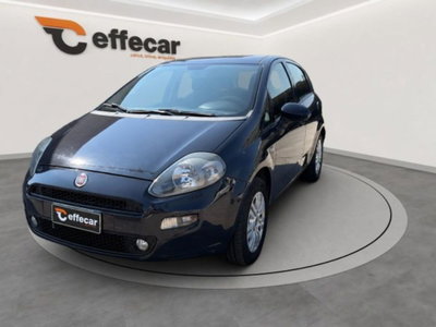 Fiat Punto 1.2 8V 5 porte Lounge usata