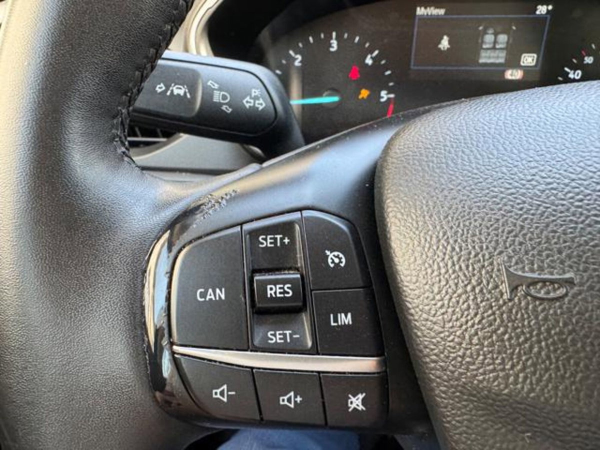 Ford Focus Station Wagon 1.5 EcoBlue 120 CV automatico SW Business (17)