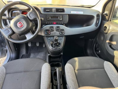 Fiat Panda 1.0 firefly hybrid s&s 70cv 5p.ti (10)