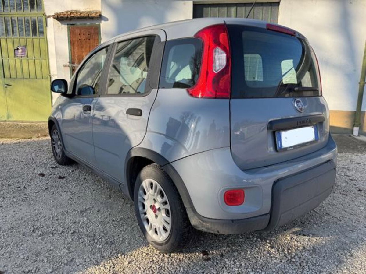 Fiat Panda 1.0 firefly hybrid s&s 70cv 5p.ti (6)