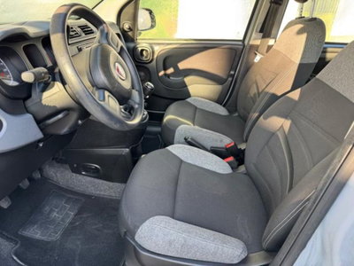 Fiat Panda 1.0 firefly hybrid s&s 70cv 5p.ti (8)