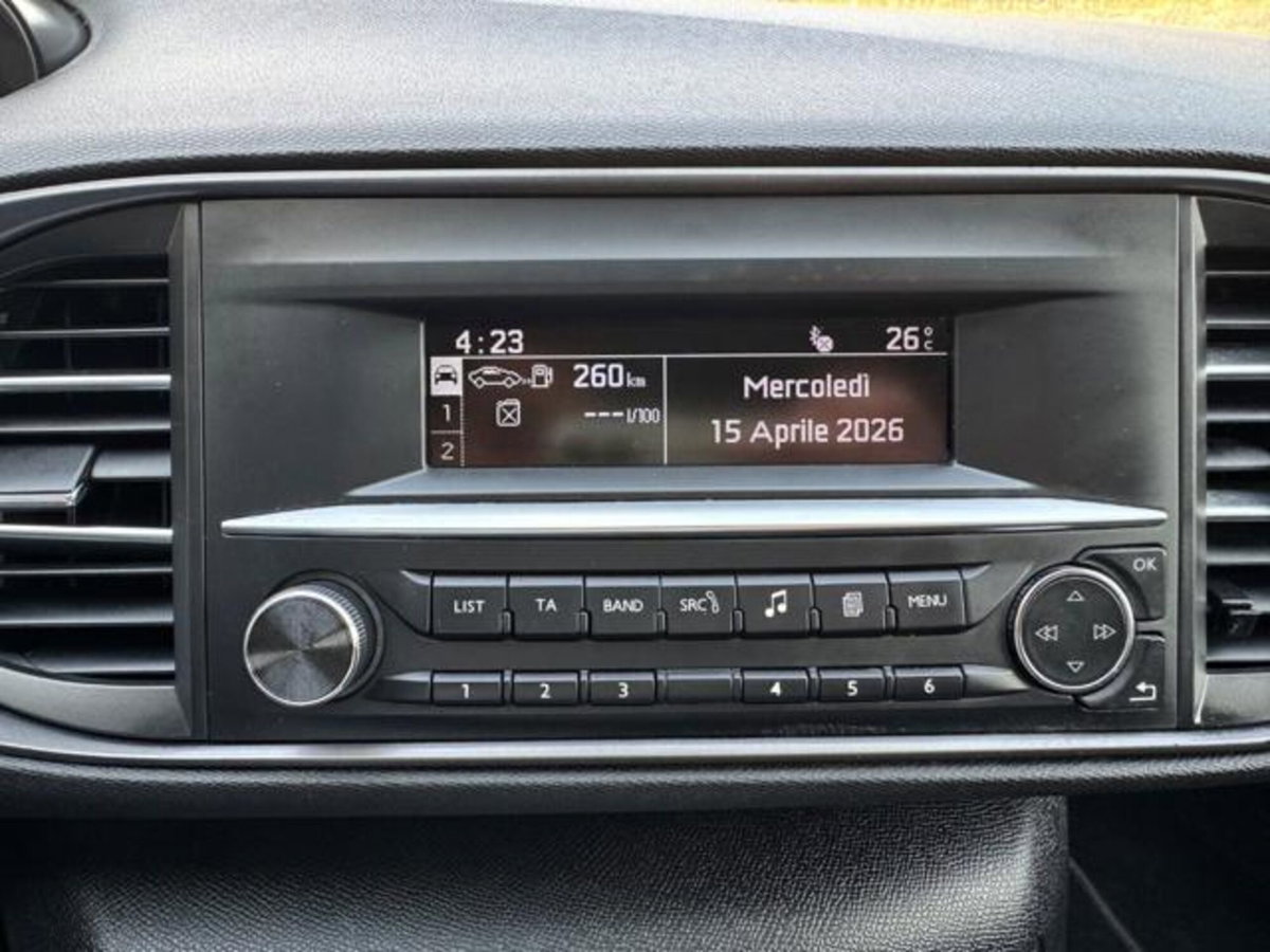 Peugeot 308 SW 1.6 HDi 92 CV Business (16)