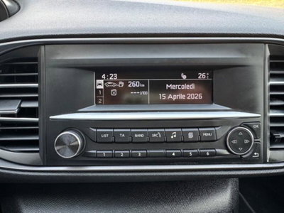 Peugeot 308 SW 1.6 HDi 92 CV Business (16)