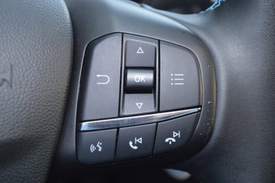 Ford Fiesta 1.0 Ecoboost Hybrid 125 CV DCT 5 porte Active (14)