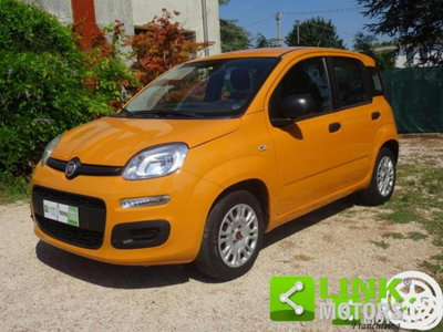 Fiat Panda 1.2 Easy usata
