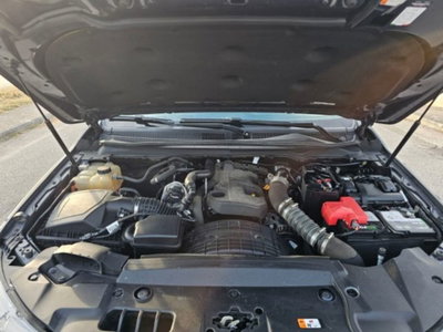 Ford Ranger Pick-up Ranger 2.0 ECOBLUE aut. DC Limited 5 posti (10)