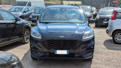 Ford Kuga 1.5 EcoBlue 120 CV 2WD ST-Line (14)