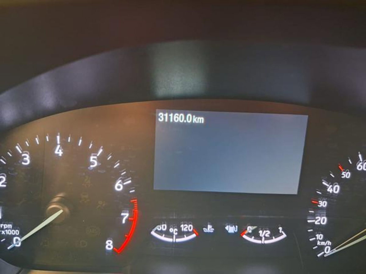 Ford Focus 1.0 EcoBoost Hybrid 125 CV Powershift 5p. ST-Line X (13)