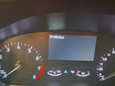 Ford Focus 1.0 EcoBoost Hybrid 125 CV Powershift 5p. ST-Line X (13)