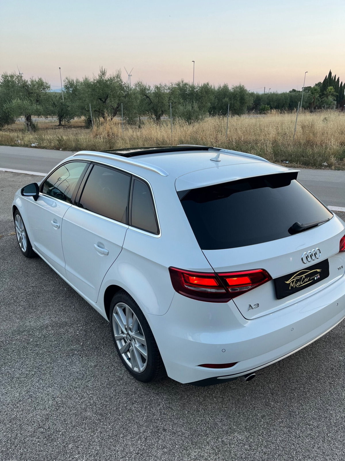 Audi A3 1.6 TDI 116 CV S tronic Design (10)
