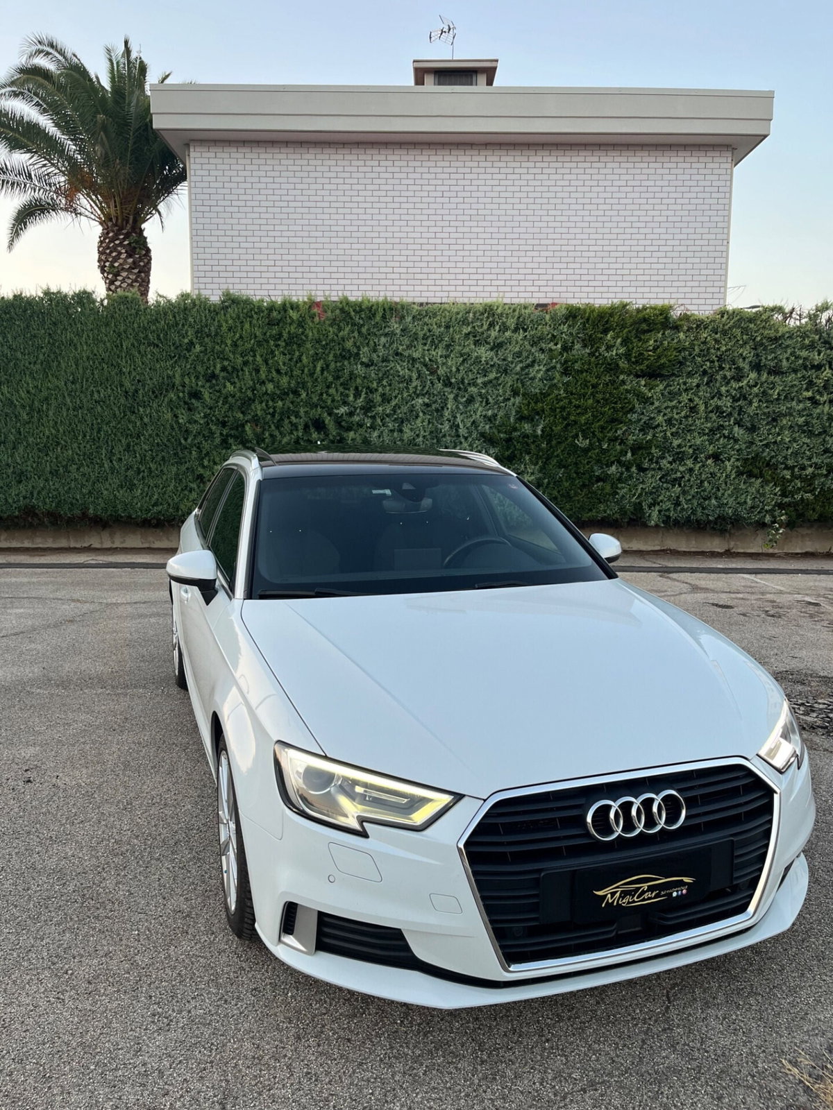 Audi A3 1.6 TDI 116 CV S tronic Design (12)