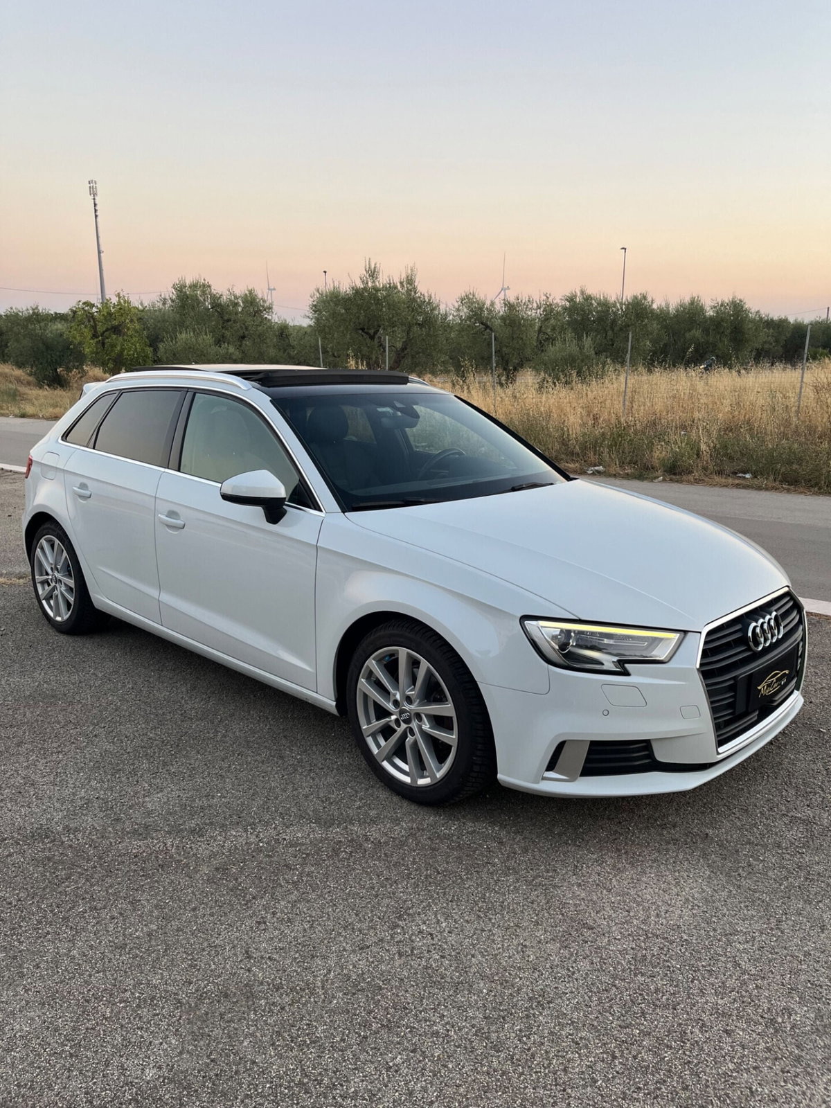 Audi A3 1.6 TDI 116 CV S tronic Design (2)