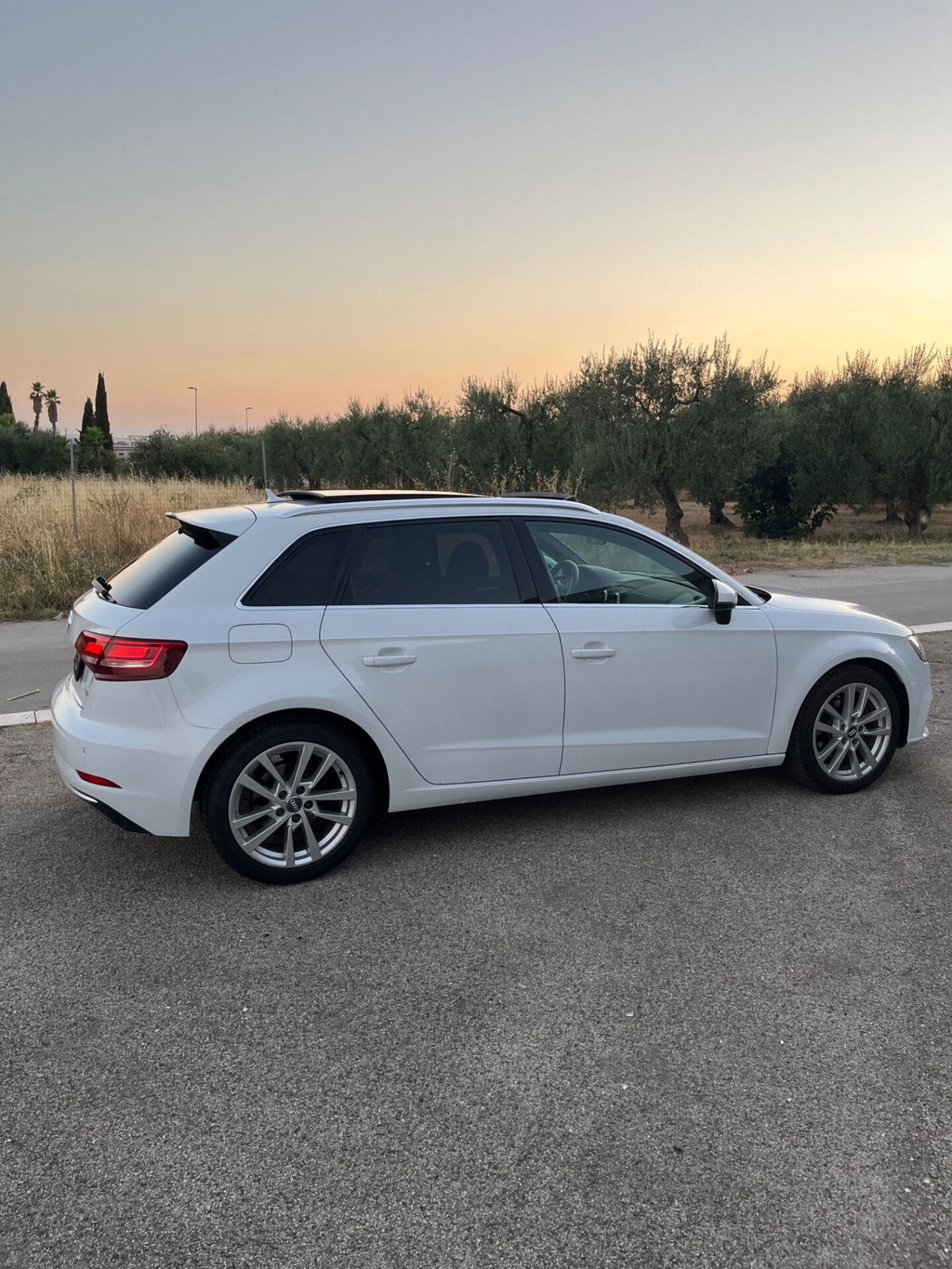 Audi A3 1.6 TDI 116 CV S tronic Design (4)