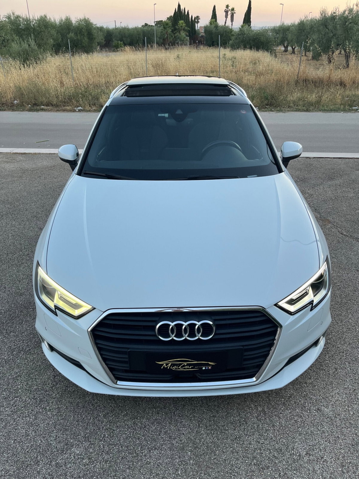 Audi A3 1.6 TDI 116 CV S tronic Design (7)