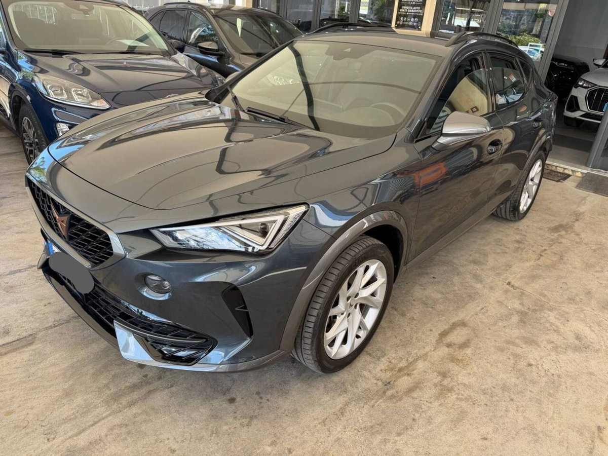 Cupra Formentor Formentor 2.0 tdi 4drive 150cv dsg (2)