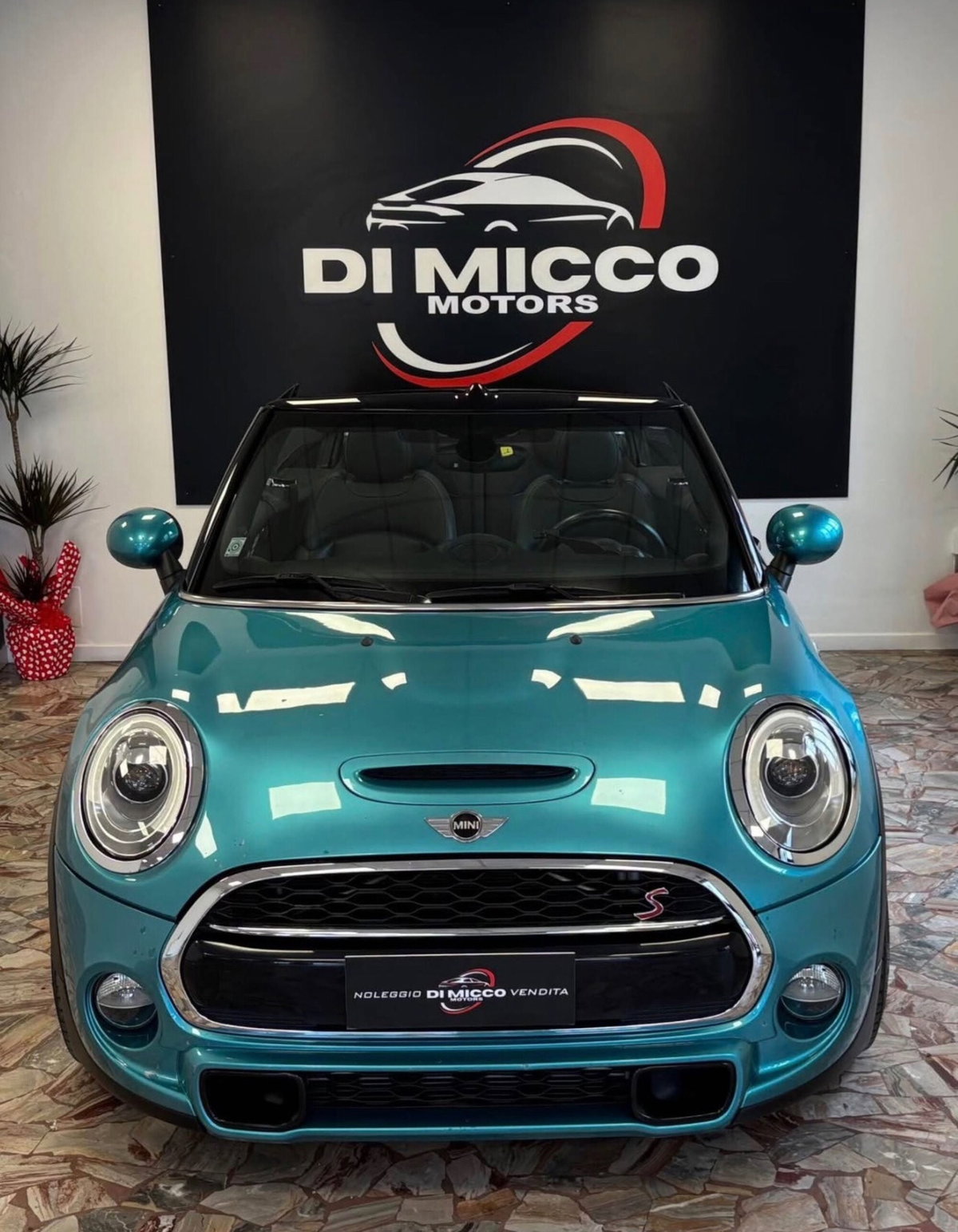 MINI Mini Cabrio 2.0 Cooper S Cabrio (2)