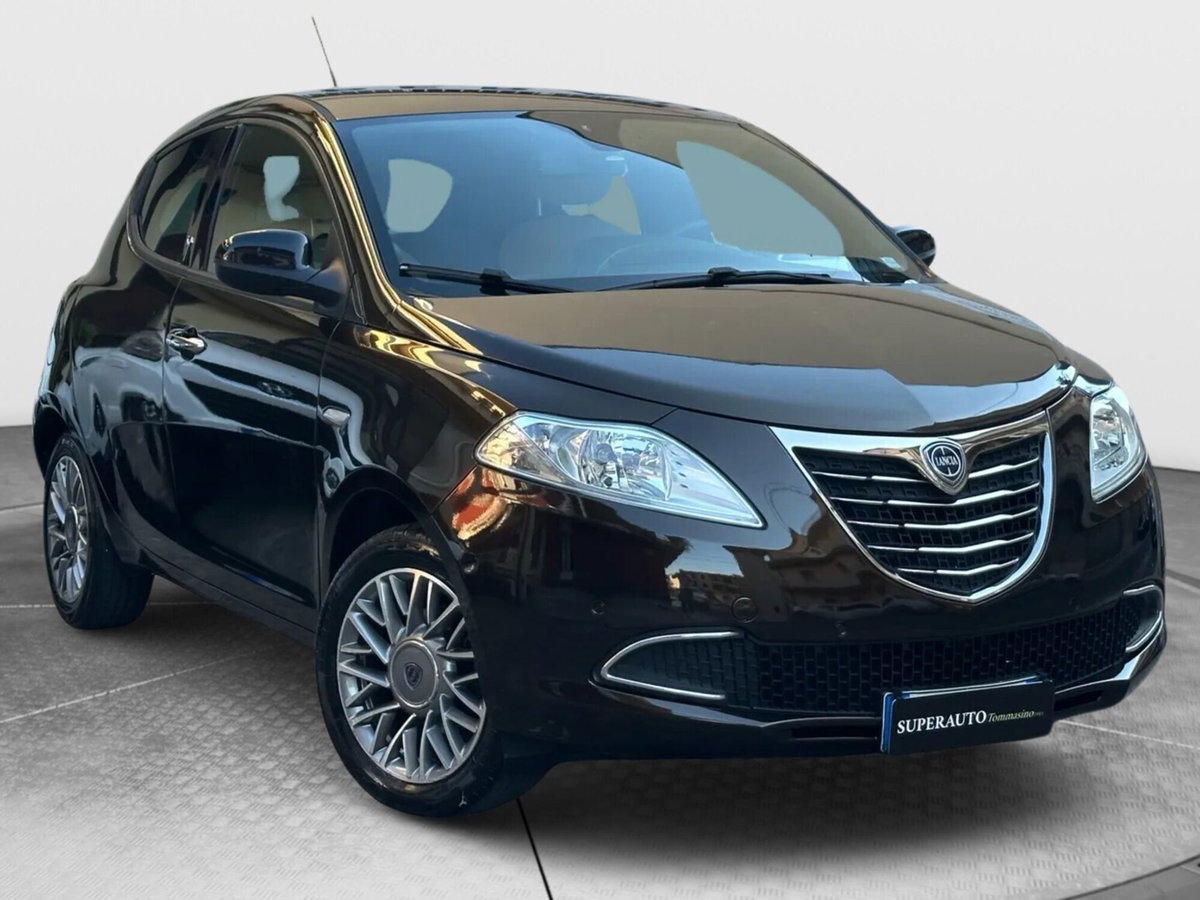Lancia Ypsilon 1.2 69 CV 5 porte Platinum (2)