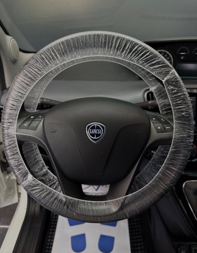 Lancia Ypsilon 1.2 69 CV 5 porte Gold (11)