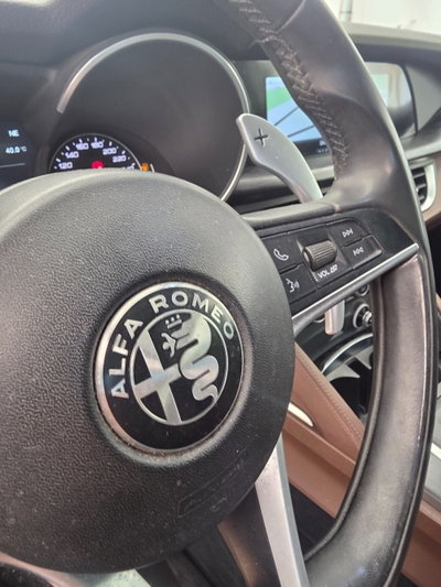 Alfa Romeo Stelvio Stelvio 2.2 Turbodiesel 180 CV AT8 RWD Executive (17)