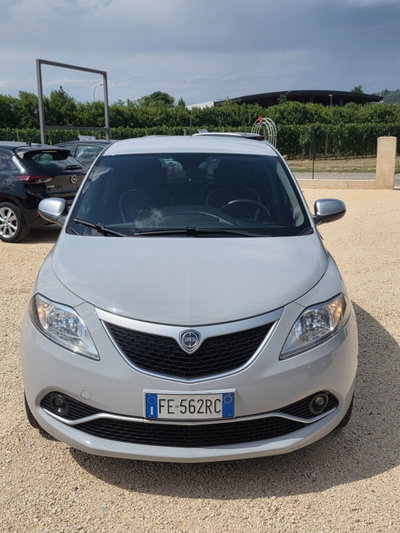 Lancia Ypsilon 1.2 69 CV 5 porte Mya (5)
