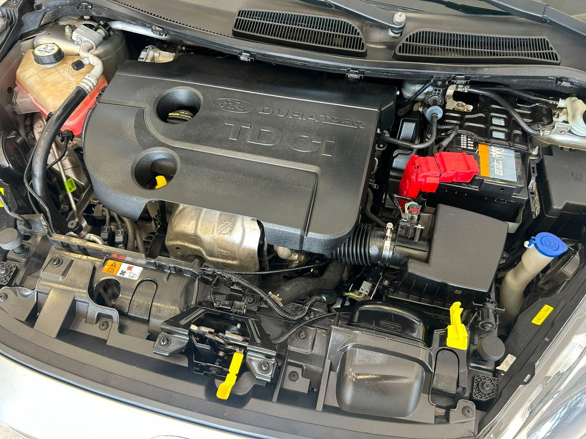 Ford Fiesta 1.5 TDCi 75CV 5 porte Titanium (15)