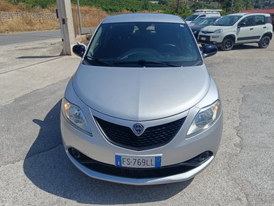 Lancia Ypsilon 1.2 69 CV 5 porte Gold (11)