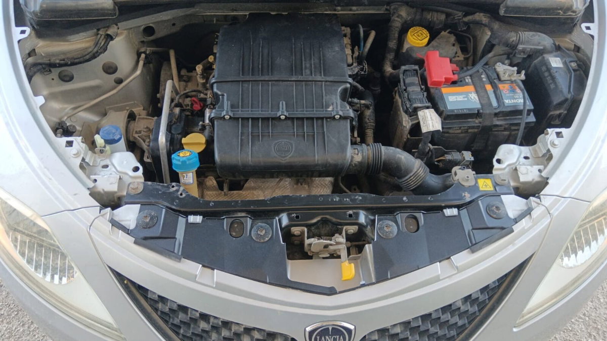 Lancia Ypsilon 1.2 69 CV 5 porte Gold (18)