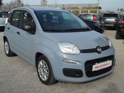 Fiat Panda 1.0 FireFly S&S Hybrid usata