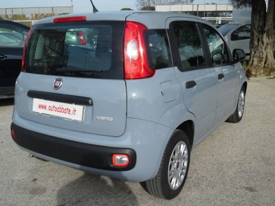 Fiat Panda 1.0 FireFly S&S Hybrid (7)