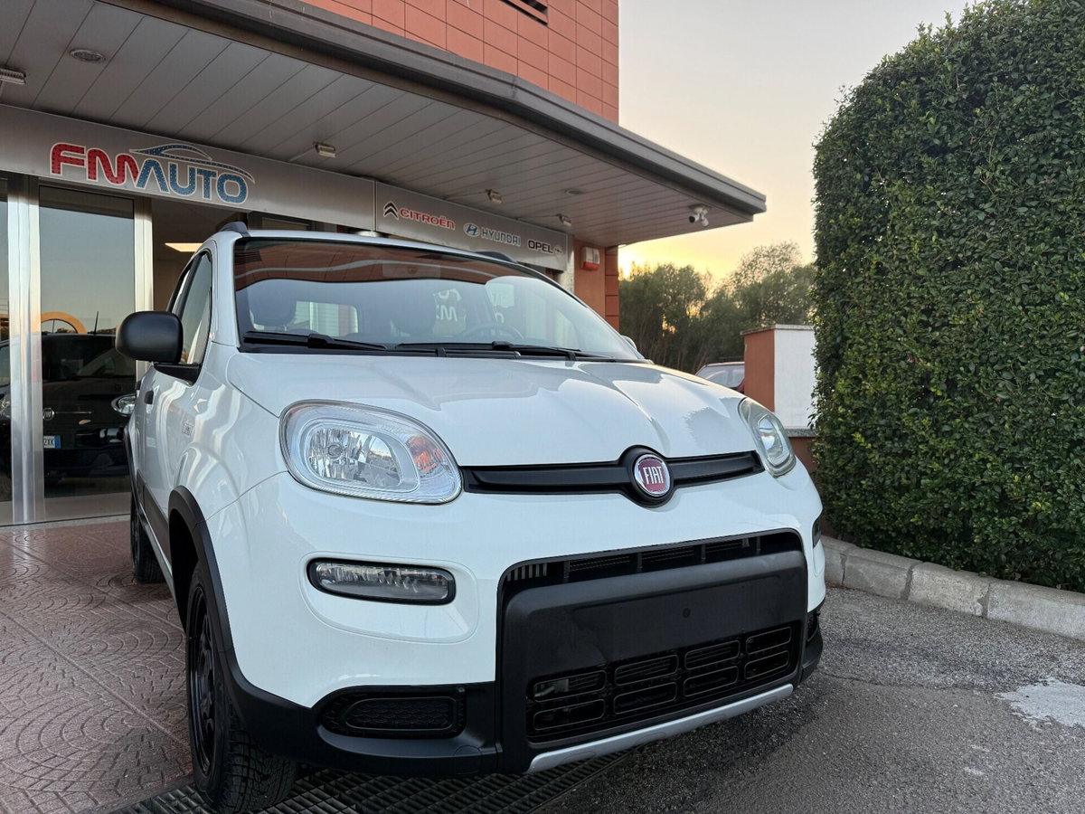 Fiat Panda 0.9 TwinAir Turbo S&S 4x4 Wild (4)