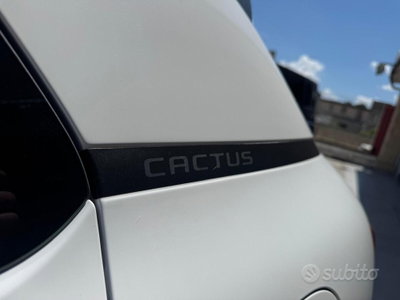 Citroen C4 Cactus BlueHDi 100 S&S Feel (16)