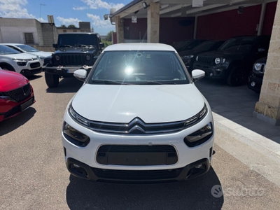 Citroen C4 Cactus BlueHDi 100 S&S Feel (2)