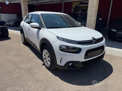 Citroen C4 Cactus BlueHDi 100 S&S Feel (3)