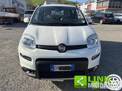 Fiat Panda 1.3 MJT S&S 4x4 (2)