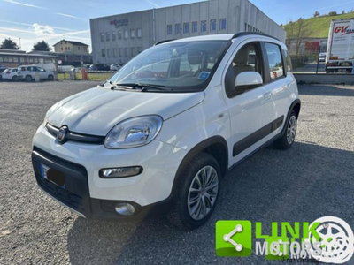Fiat Panda 1.3 MJT S&S 4x4 (3)