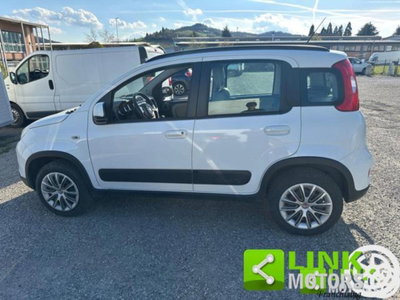 Fiat Panda 1.3 MJT S&S 4x4 (4)