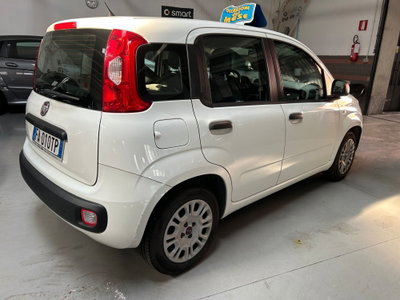 Fiat Panda 1.2 Easy (3)