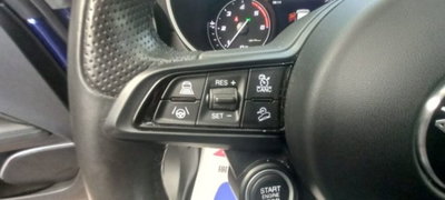 Alfa Romeo Stelvio Stelvio 2.2 Turbodiesel 190 CV AT8 Q4 Super Business (14)