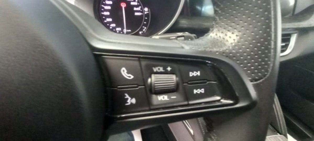 Alfa Romeo Stelvio Stelvio 2.2 Turbodiesel 190 CV AT8 Q4 Super Business (15)