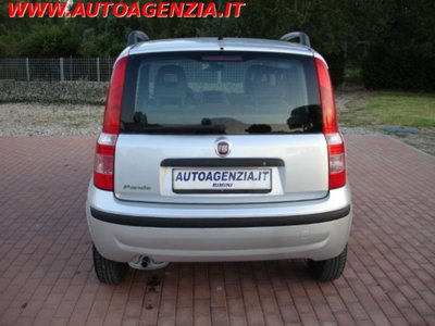 Fiat Panda 1.2 Dynamic (7)